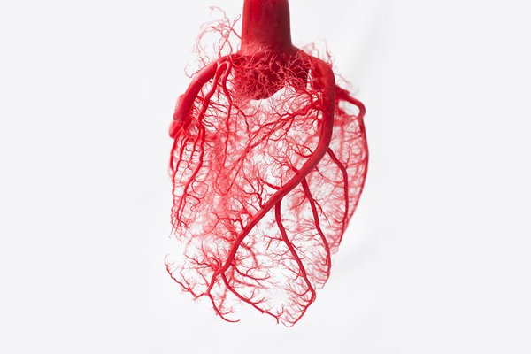 تاثیر ورزش بر سلامتی